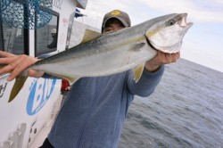 ジギング船 BLUEWATER 釣果