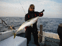 浩敬丸 釣果