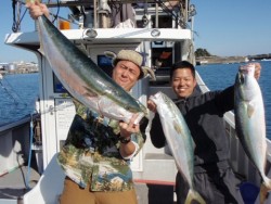 Marine Pro Y's　第…