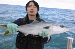 ジギング船 BLUEWATER 釣果