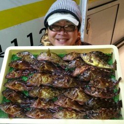 オフショアロックフィッシュ中毒者釣行記4