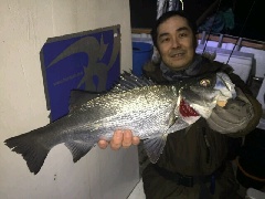 釣福丸 釣果
