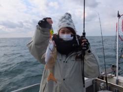 Hit Rush(ヒット ラッシュ） 釣果…