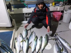 Hit Rush(ヒット ラッシュ） 釣果…