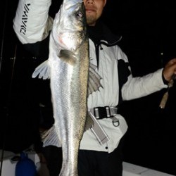 Marine T Design　マリンティーデザイン 釣果