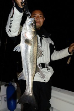 Marine T Design　マリンティーデザイン 釣果