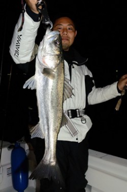 Marine T Design　マリンティ…