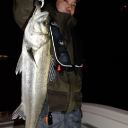 Marine T Design　マリンティーデザイン 釣果