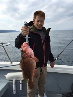 sea boss　シーボス 釣果