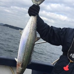 ゲームフィッシング バレントン 釣果