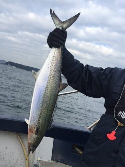 ゲームフィッシング バレントン 釣果