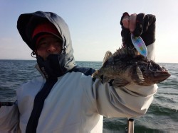 MATSUSHIMA SEANET 釣果