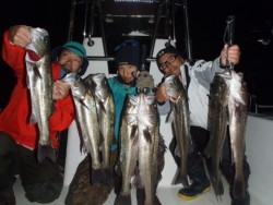 オーシャンマスター 釣果