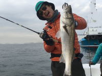 オーシャンマスター 釣果