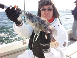 MATSUSHIMA SEANET 釣果