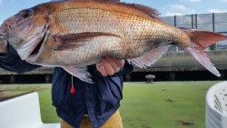 Big One　ビッグワン 釣果