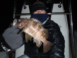 オーシャンマスター 釣果