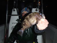 オーシャンマスター 釣果