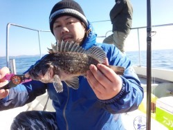 MATSUSHIMA SEANET 釣果