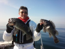 MATSUSHIMA SEANET 釣果