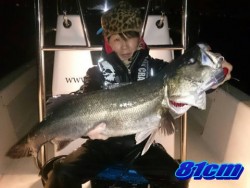 オーシャンマスター 釣果