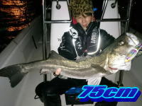 オーシャンマスター 釣果