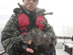 MATSUSHIMA SEANET 釣果