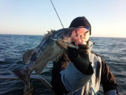 MATSUSHIMA SEANET 釣果