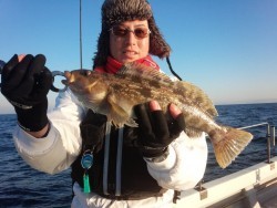 MATSUSHIMA SEANET 釣果