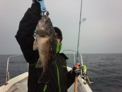 MATSUSHIMA SEANET 釣果