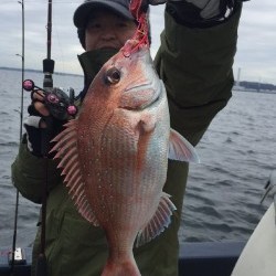 ゲームフィッシング バレントン 釣果