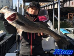 オーシャンマスター 釣果