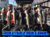 オーシャンマスター 釣果