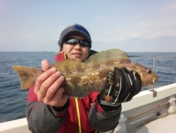 MATSUSHIMA SEANET 釣果