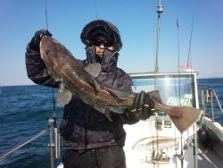 MATSUSHIMA SEANET 釣果