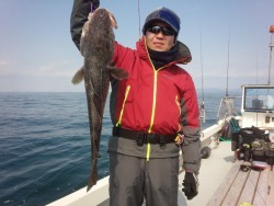 MATSUSHIMA SEANET 釣果