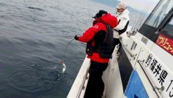 つれ鷹丸 釣果