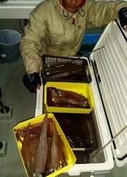 ディープ オーシャン 釣果