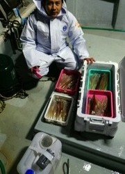 ディープ オーシャン 釣果