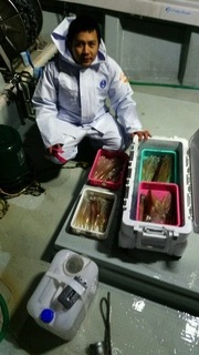 ディープ オーシャン 釣果