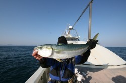 オーシャンズ 釣果