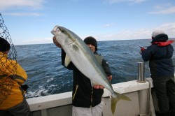 オーシャンズ 釣果