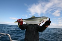 オーシャンズ 釣果