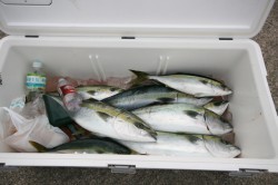 オーシャンズ 釣果