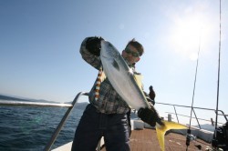 オーシャンズ 釣果