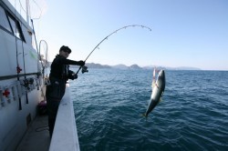 オーシャンズ 釣果