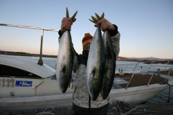 オーシャンズ 釣果
