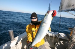 オーシャンズ 釣果