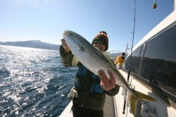 オーシャンズ 釣果