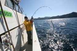 オーシャンズ 釣果